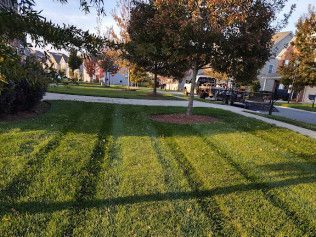 landscaping company charlotte nc