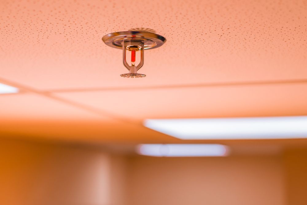 Fire Sprinkler Head Installed on a Ceiling, Orange Lighting — Symbiote Systems in Proserpine, QLD