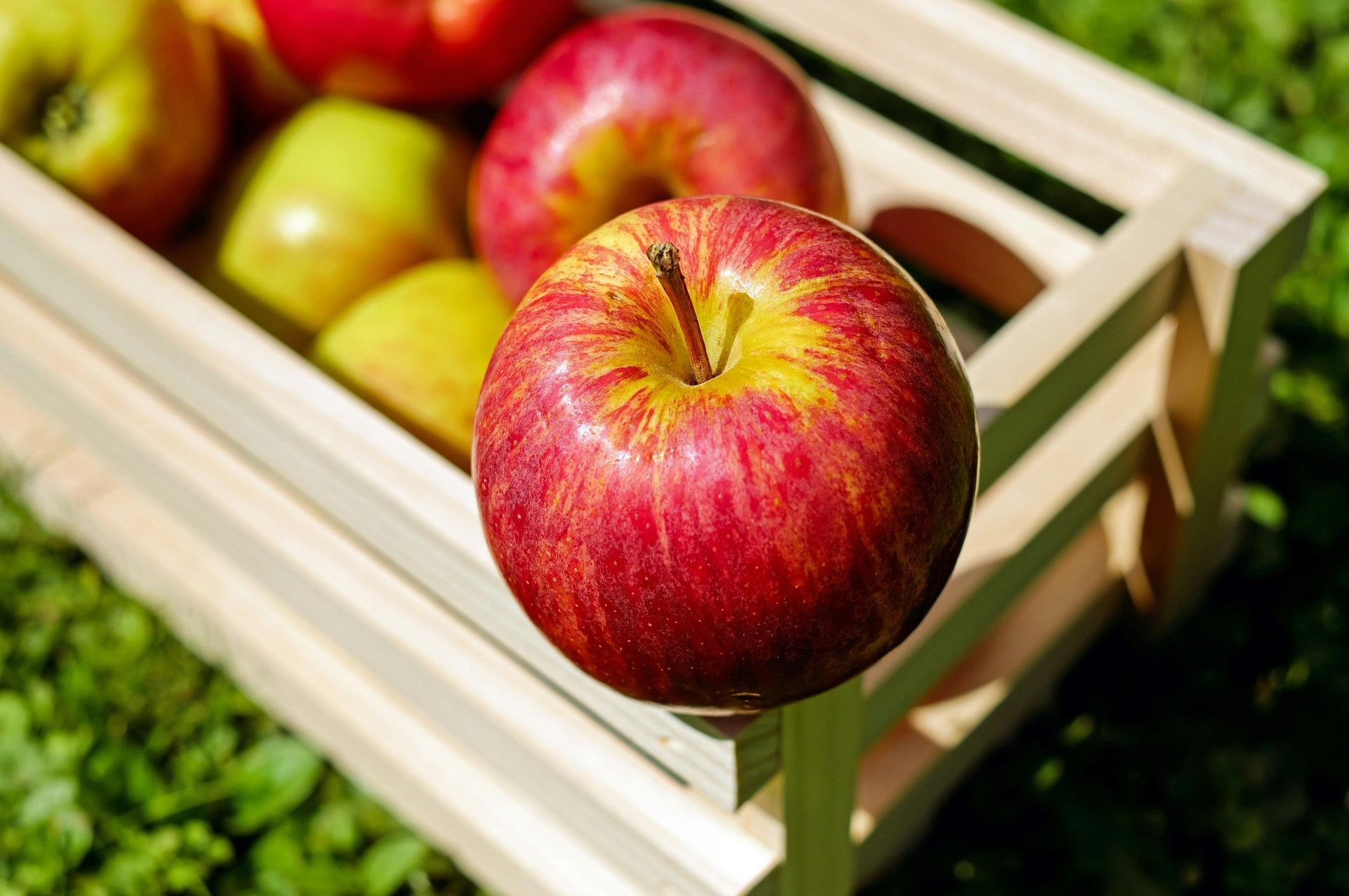 Red apple in a wooden crate with other apples on green grass.