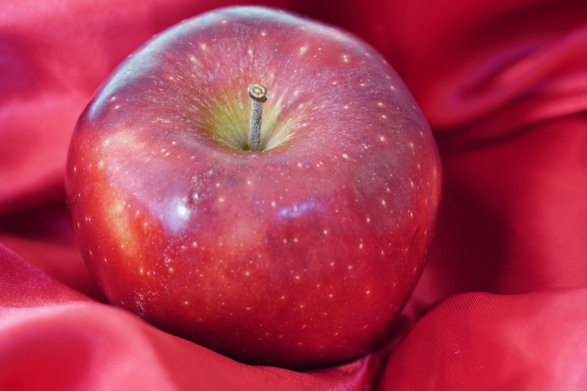 Red apple on red satin.