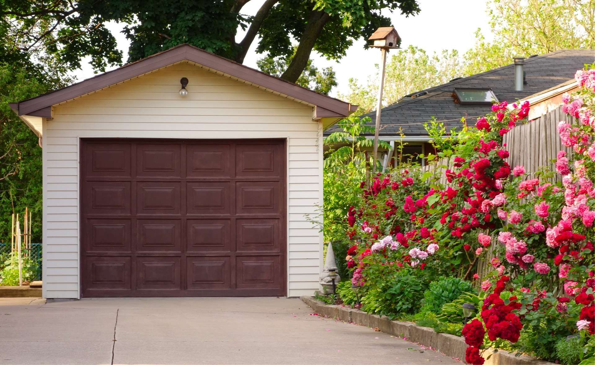 Garage with brown door, white siding, and blooming red and pink roses alongside a driveway.