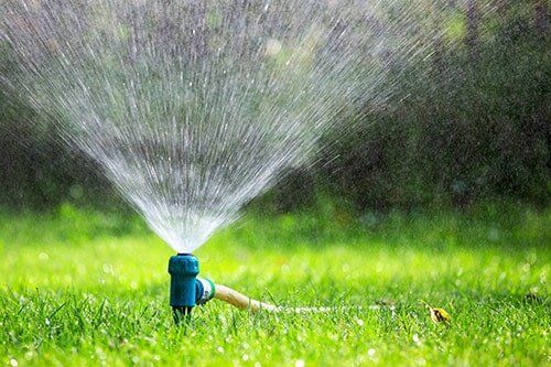 Lawn sprinkler spraying water over grass — Sod in Ault, CO