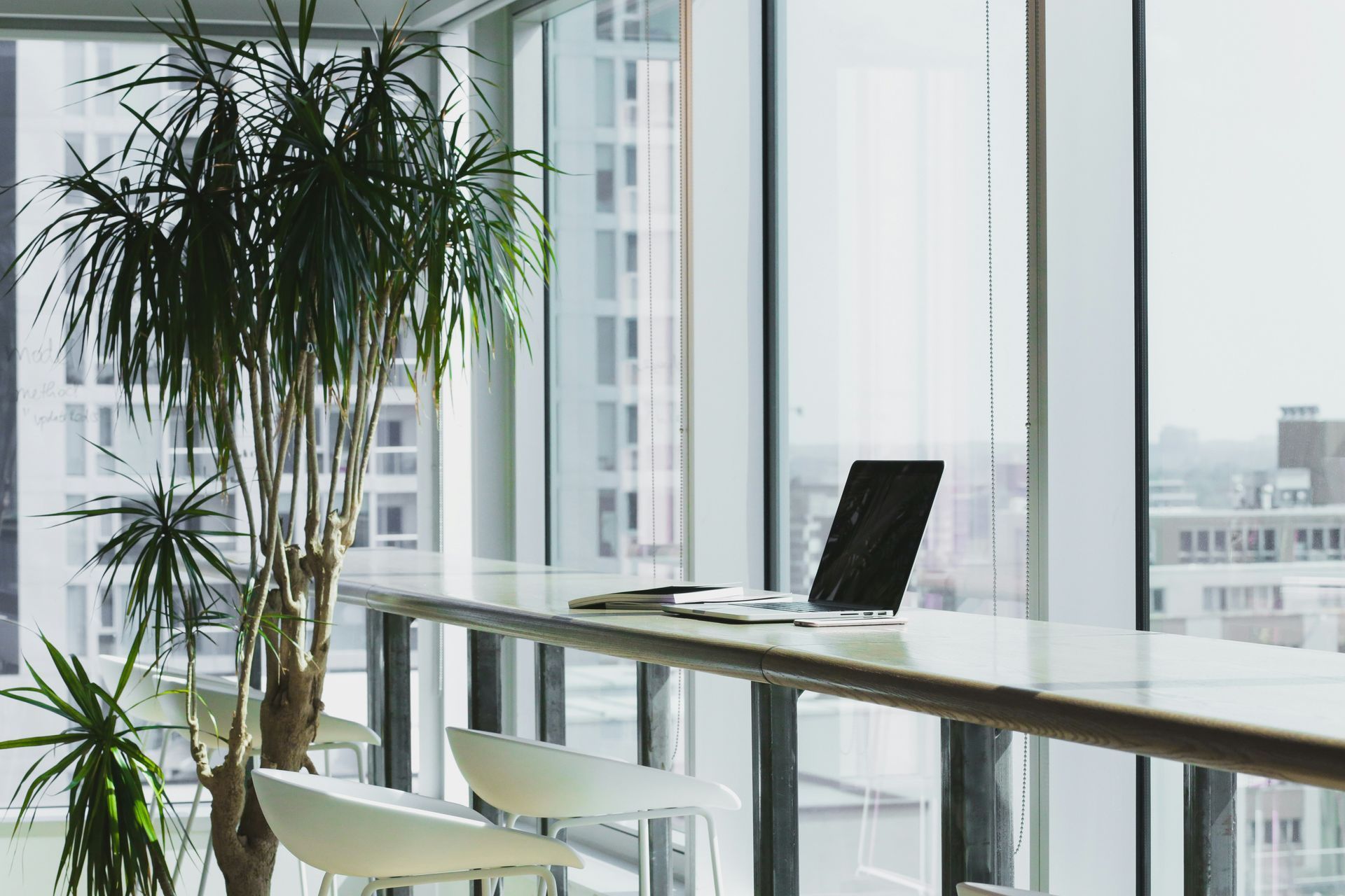 office with plant in background