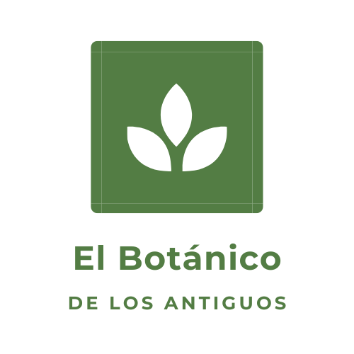 Logotipo: Cuadrado verde con tres hojas blancas. El texto debajo dice 