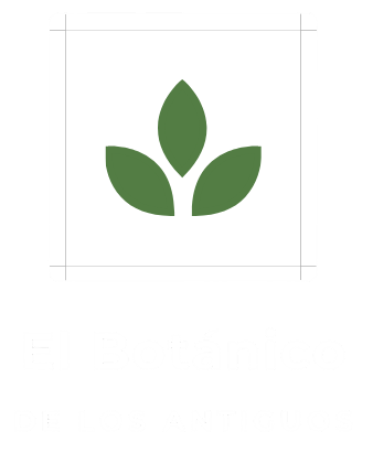 Hojas verdes en un cuadrado blanco, posiblemente un logotipo; diseño limpio y simple.