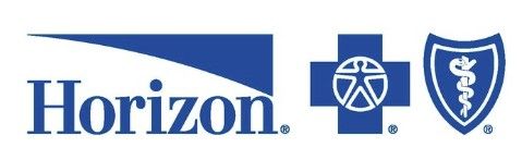 Horizon health insurance logo 