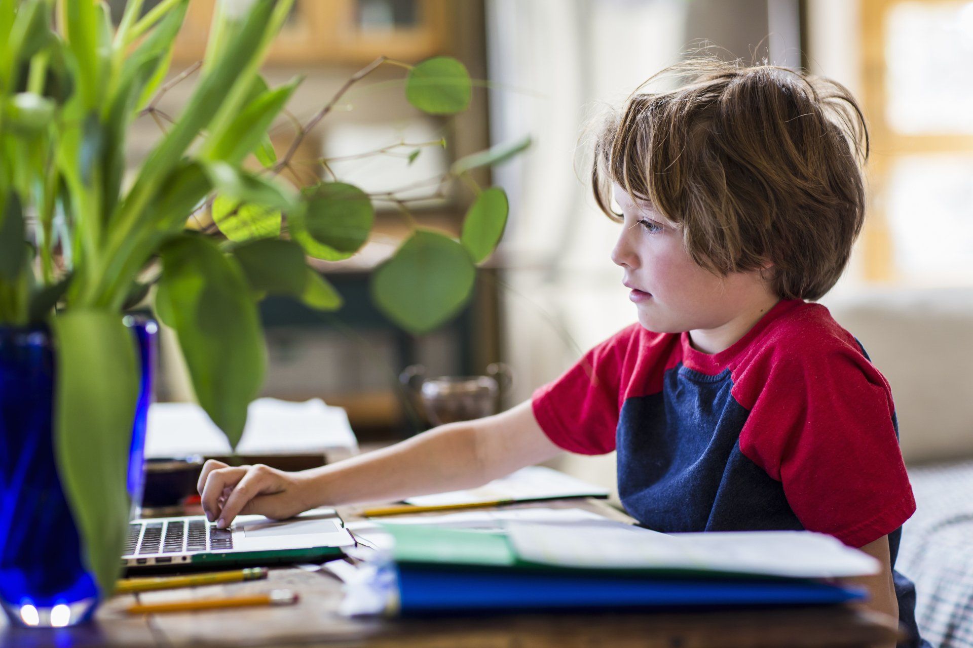 Boy in red shirt using a laptop at a desk, with vase of green plants in the foreground.