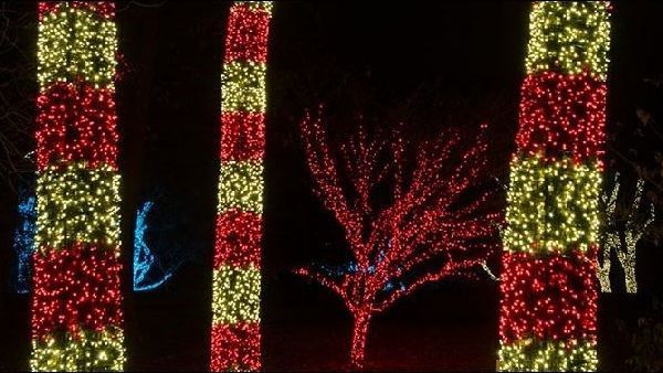Professional Home Christmas Decoration Service
