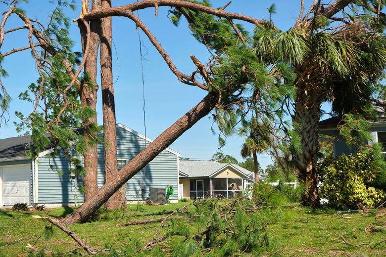Fallen tree branch leaning over a suburban yard beside a light-colored house after storm damage