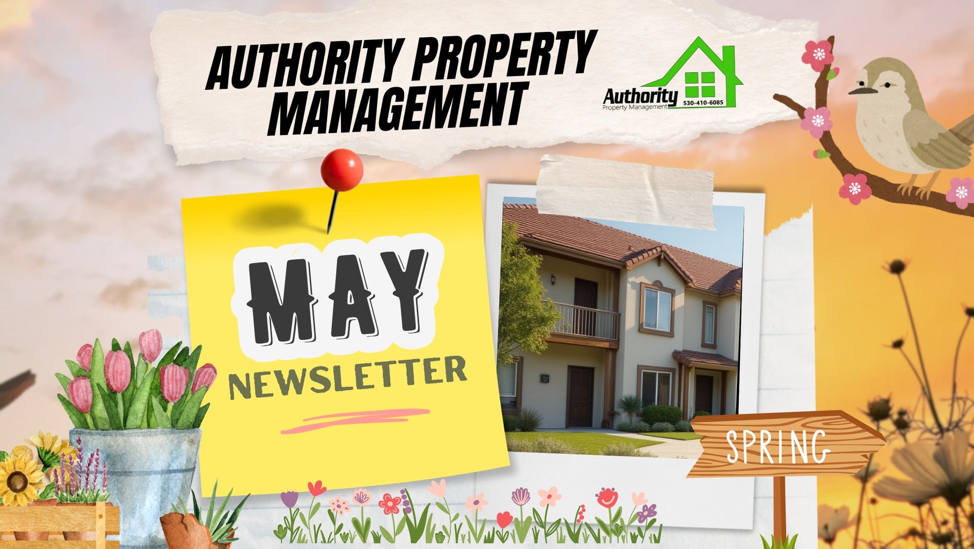 Thumbnail image of May 2025 Newsletter