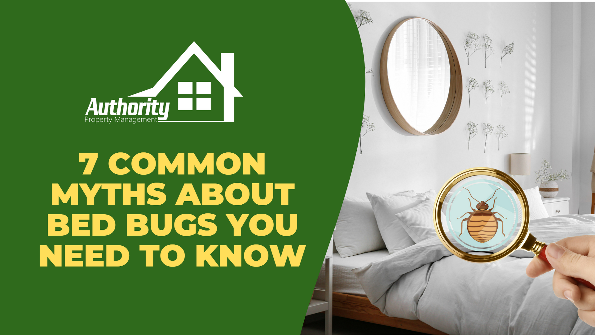 7 Common Myths About Bed Bugs You Need To Know And Debunked