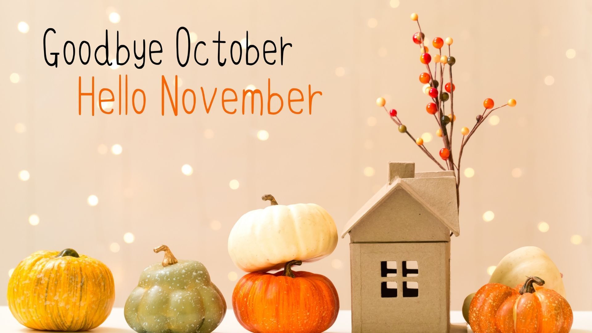 Cardboard house with berry branch, surrounded by colorful pumpkins, with 'Goodbye October, Hello November' text.