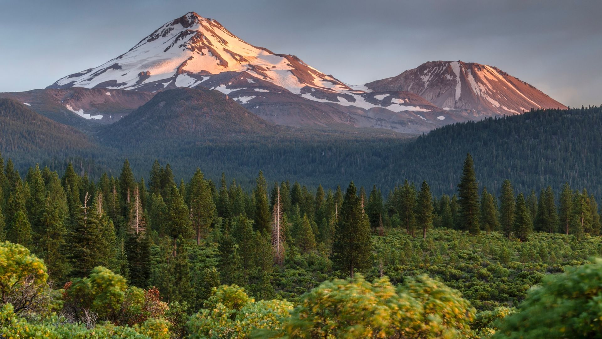 Snow-capped mountains under partly cloudy sky, with pine forests and shrubbery on rolling hills. Evening sun glows on peaks.
