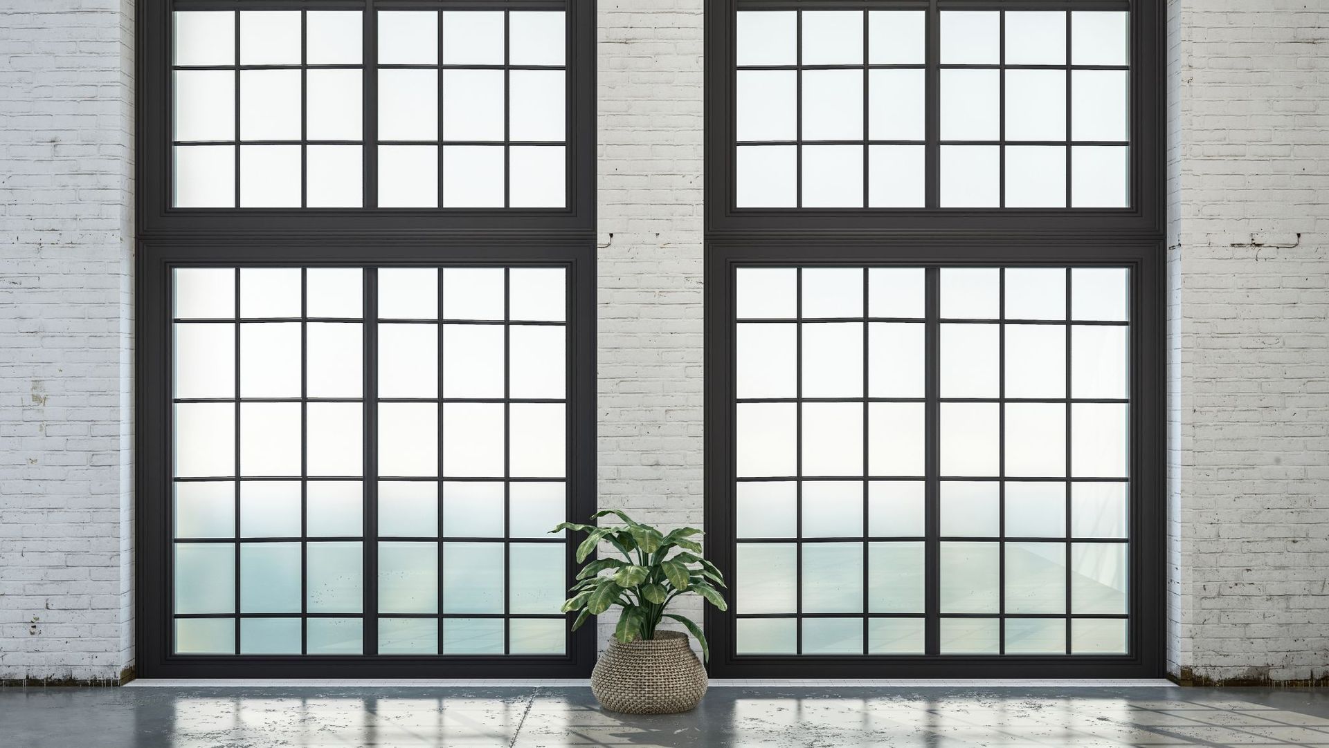 Image of two modern-looking windows with a plant in between. 