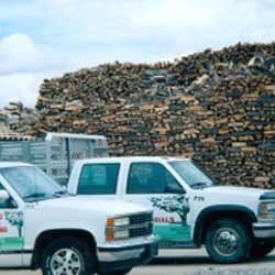 Cedar - Landscaping Services in Albuquerque, NM
