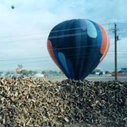 Parachute - Landscaping Services in Albuquerque, NM
