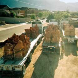 Flatbed 2 - Landscaping Services in Albuquerque, NM