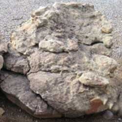 Large Boulders (All Sizes) Prices Depend on Size