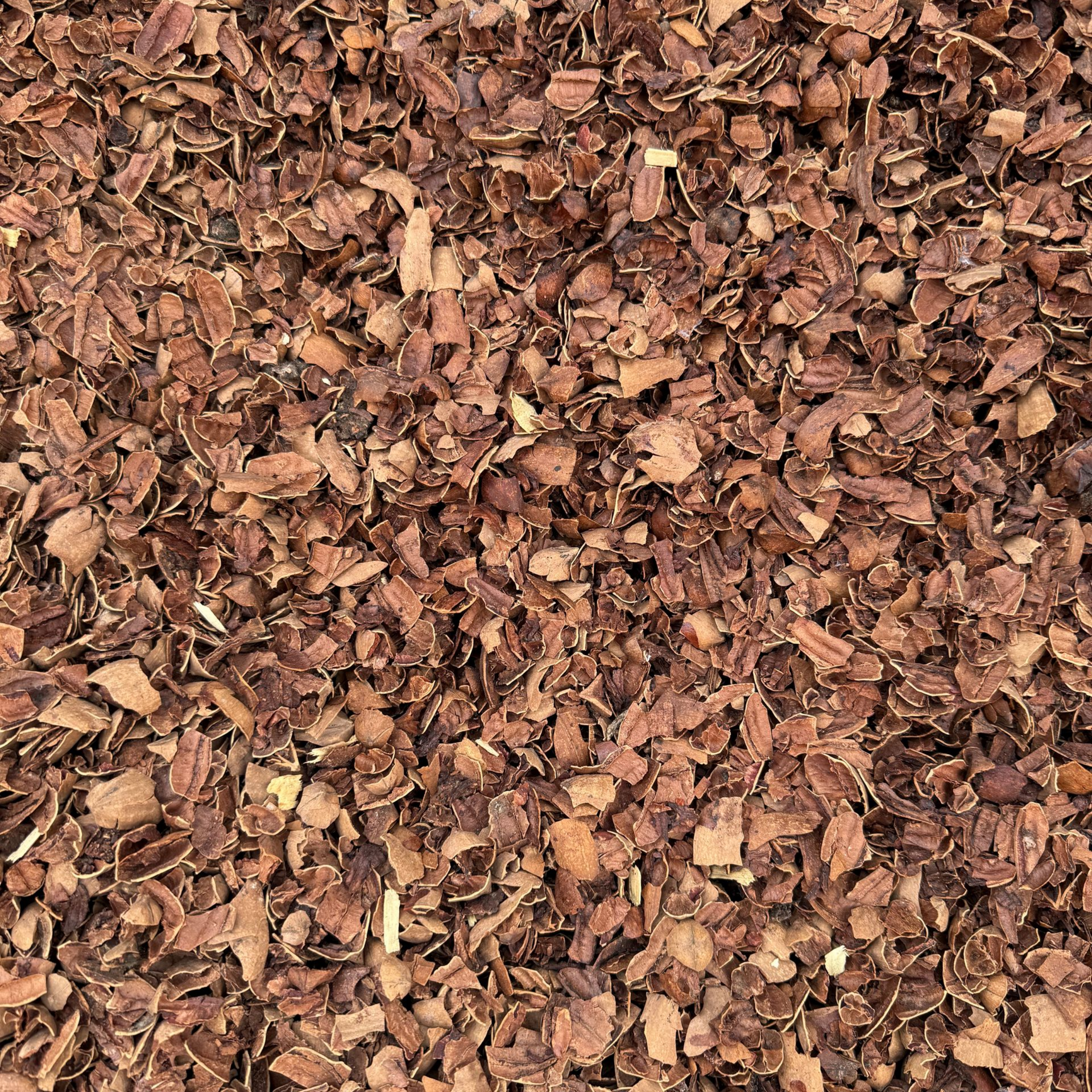 Pecan Shells $49.00 per Yard