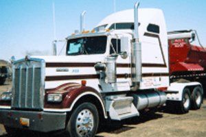 Person in Front of Blue Truck — Landscaping in Albuquerque, NM Person in Front of Blue Truck — Landscaping in Albuquerque, NM