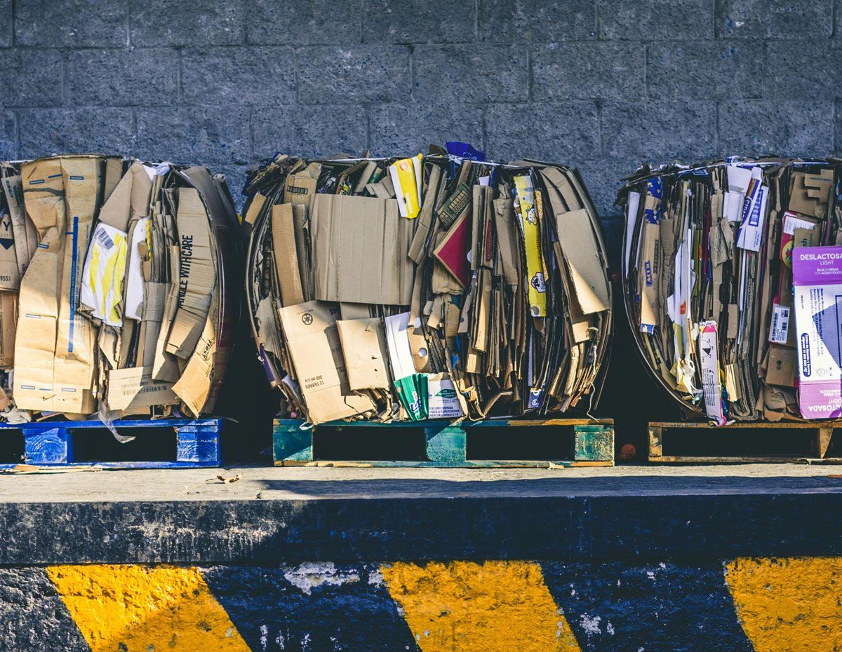 A bunch of cardboard stacked on top of each other on pallets.