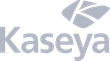 Kaseya logo: Gray text 