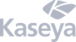 Kaseya logo: Gray text 