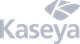 Kaseya logo: Gray text 