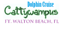 catamaran dolphin cruise destin fl