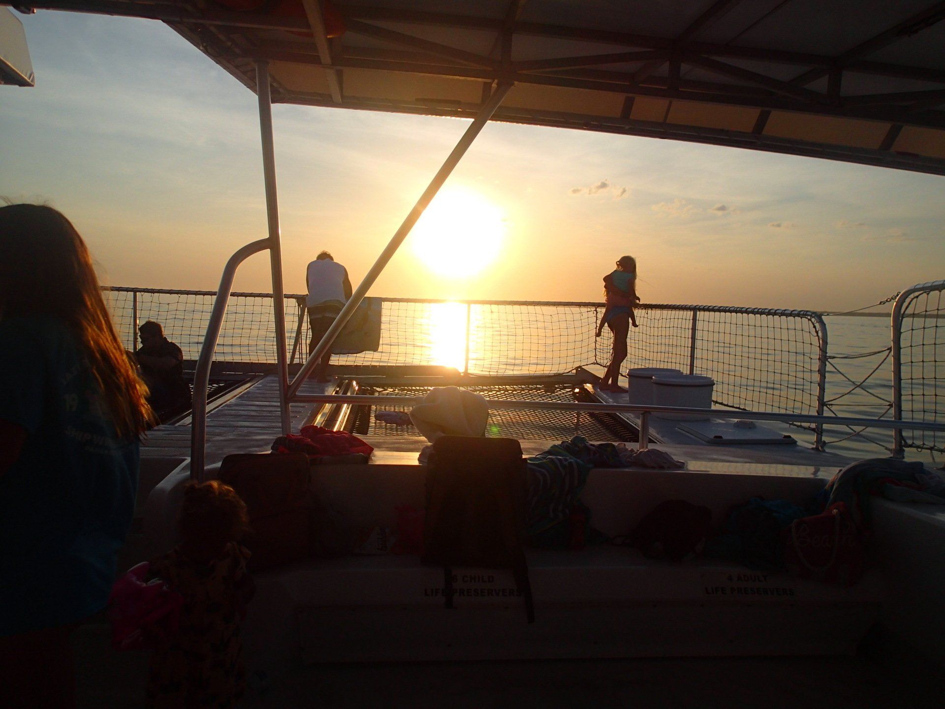 catamaran dolphin sunset adventure cruise