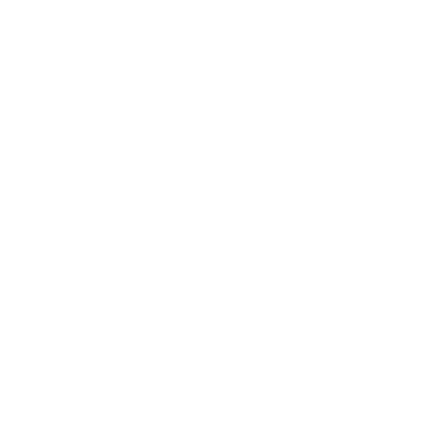Balloon dog