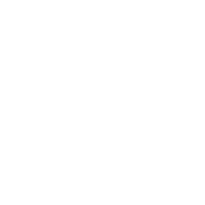Paint