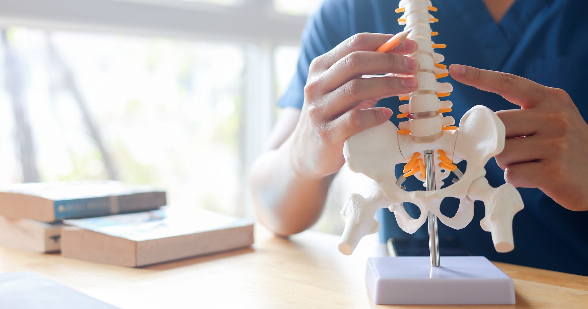 Hands holding a model human spine on a stand beside stacked books in a bright classroom setting