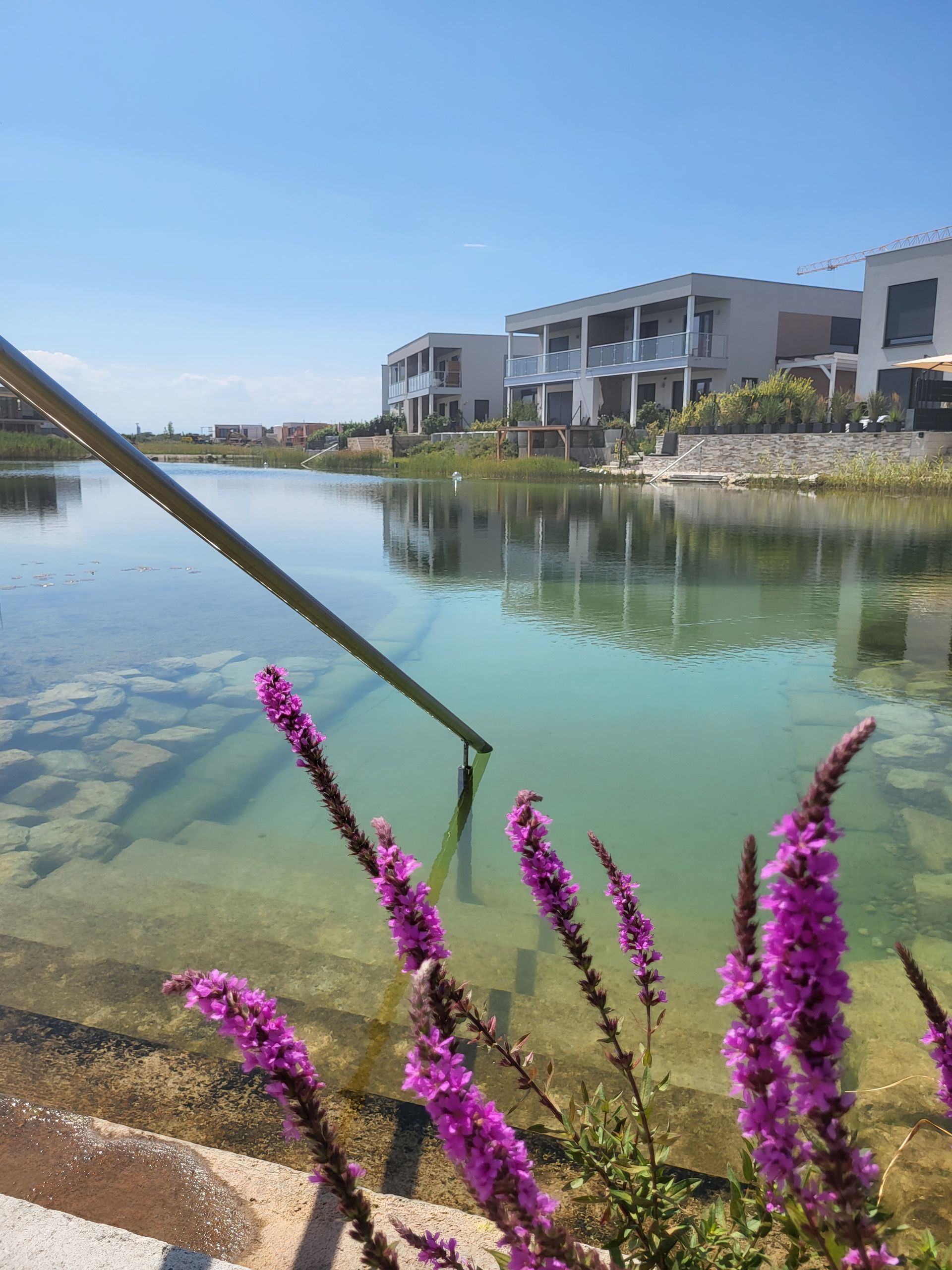 Violette Blüten säumen eine klare Lagune mit einem Metallgeländer. Weiße Gebäude spiegeln sich im Wasser unter blauem Himmel.