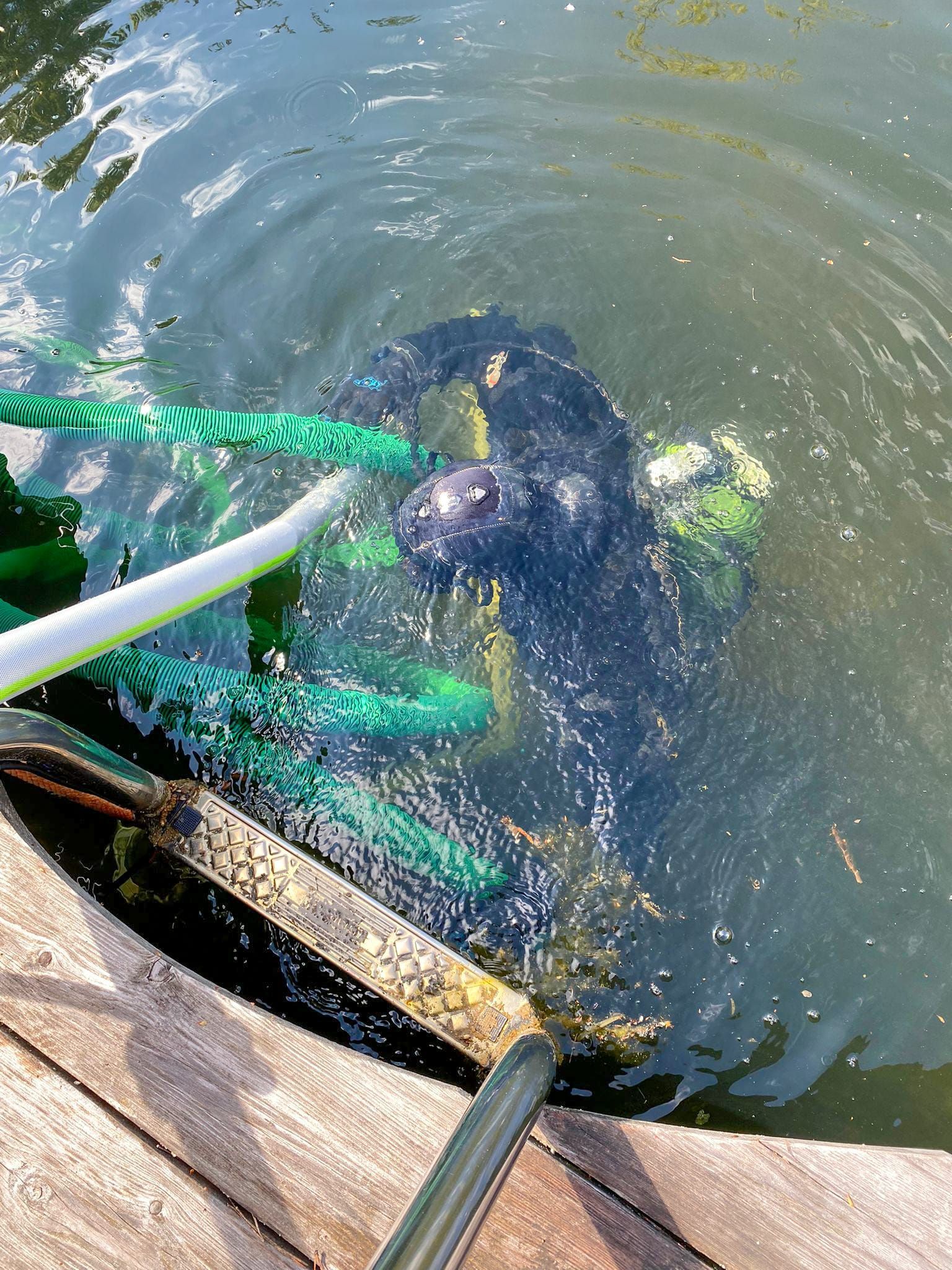 Ein Taucher in dunklem Wasser, in der Nähe eines Holzstegs, an dem mehrere Seile befestigt sind.