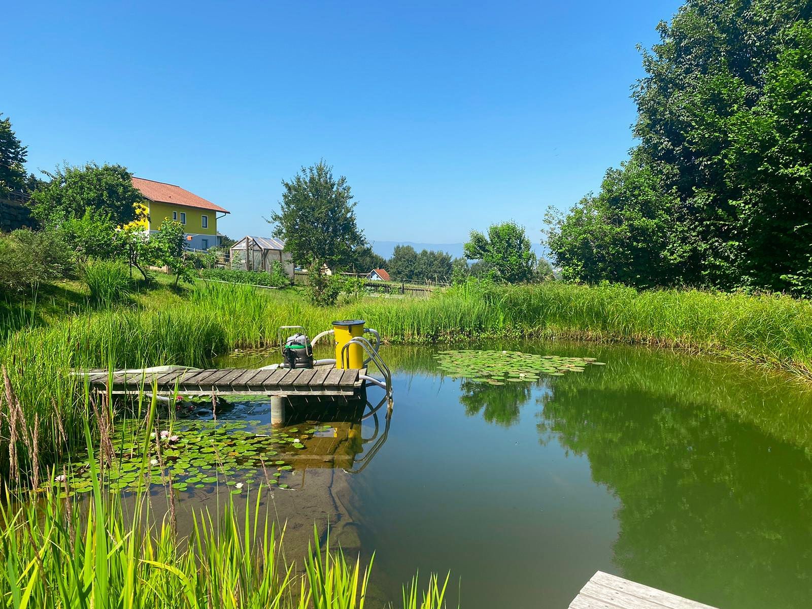 Ein Teich mit einem Holzsteg, zwei Personen und grünem Laub unter blauem Himmel.