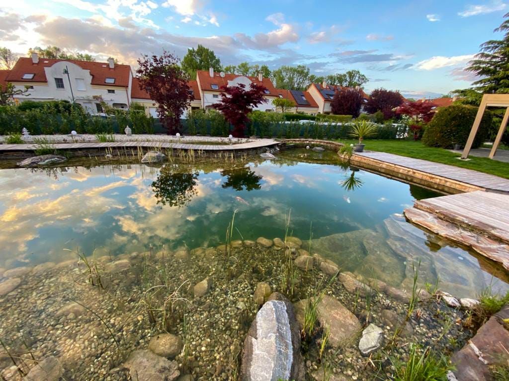 Teich, in dem sich Himmel und Bäume spiegeln, mit Steinrand, Holzplattform und Häusern im Hintergrund.