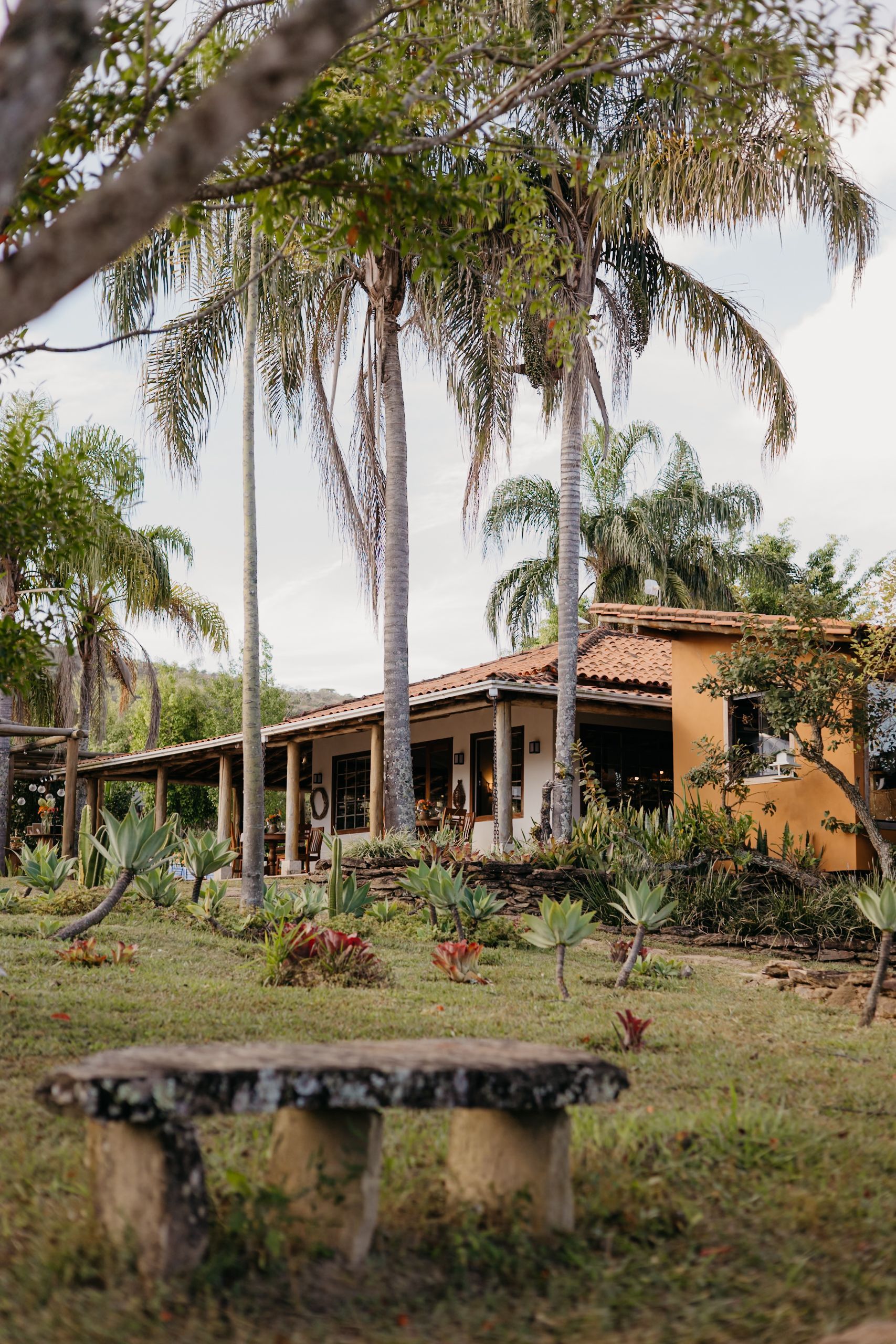 Um banco rústico de pedra está situado num gramado em frente a uma casa bege com telhado de telhas, rodeada por altas palmeiras.