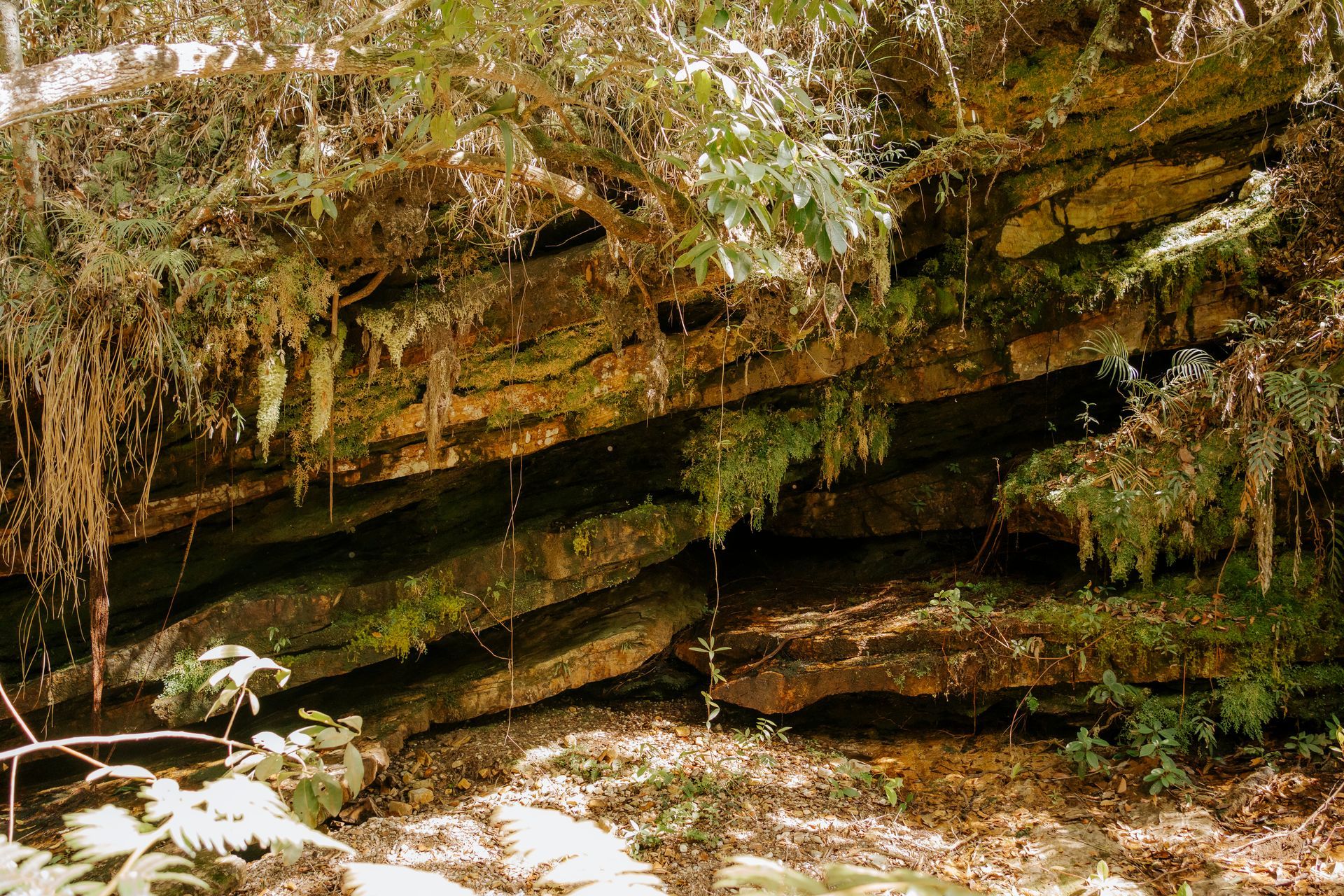Camadas de rochas cobertas de musgo formam uma pequena caverna natural, cercada pela folhagem da floresta e pela luz solar filtrada pelas árvores.