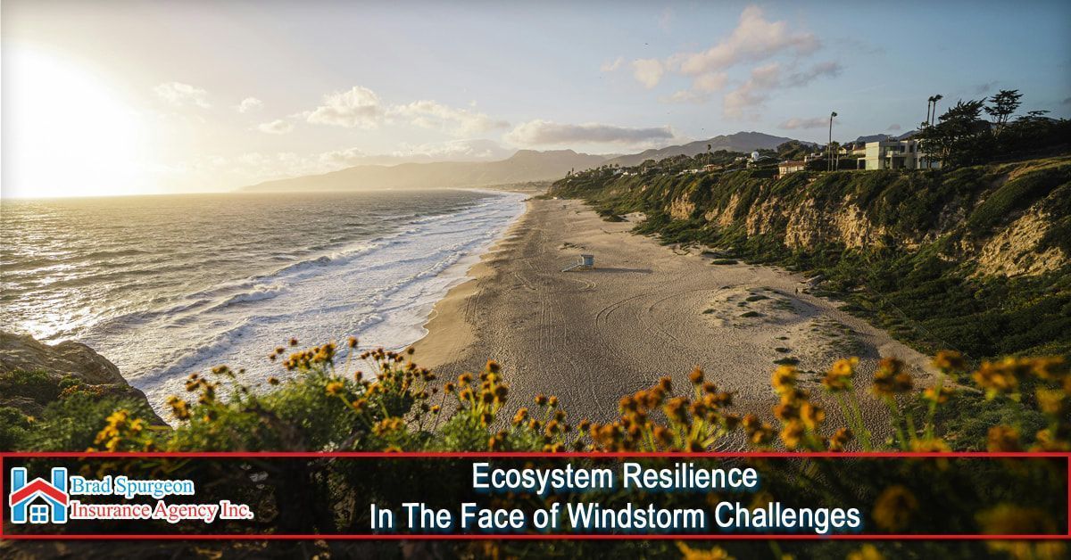 A sunny beach coastline with cliffs and wildflowers