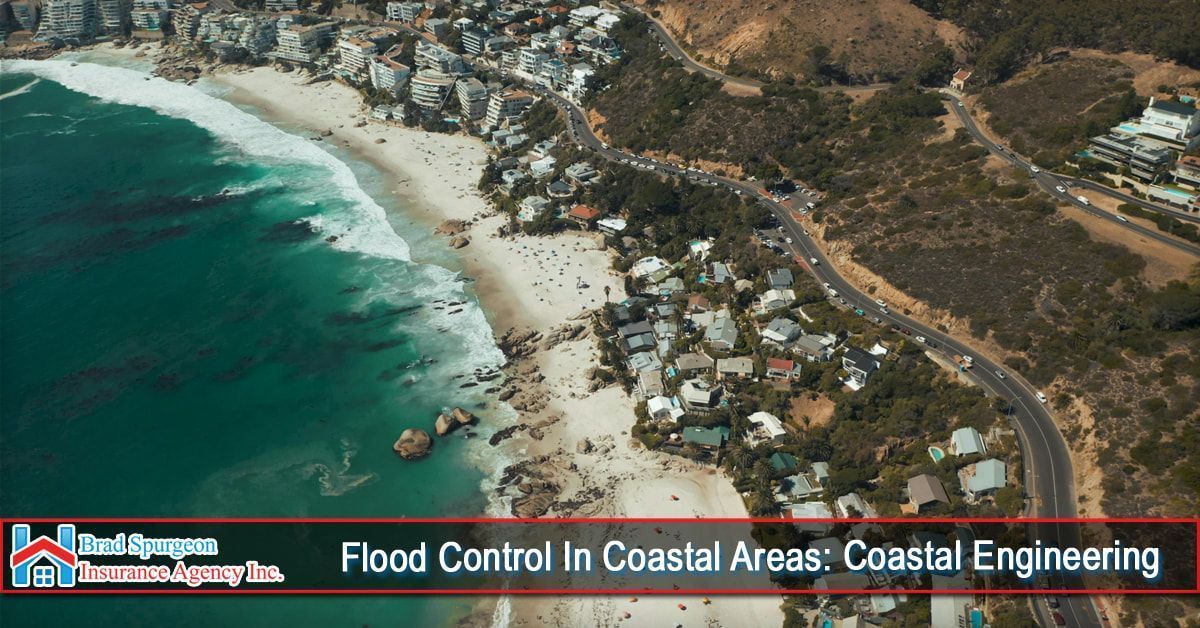 Aerial view of a coastal beach town with houses near the shore