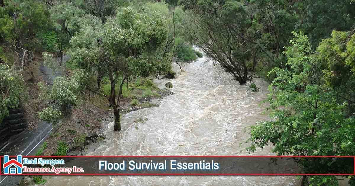 A fast-moving, murky river floods a wooded area, with the overlay text 