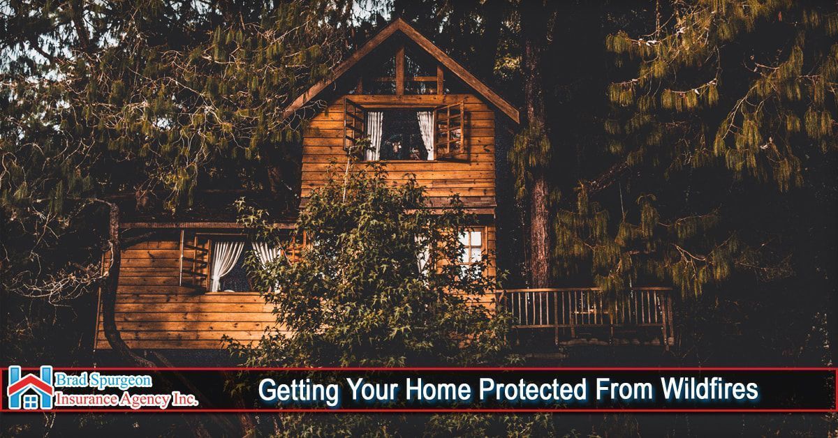 A wooden cabin surrounded by forest trees