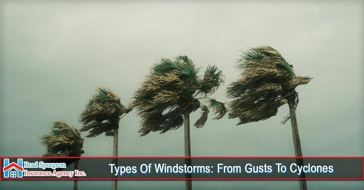 Four palm trees bend in the wind under a stormy sky