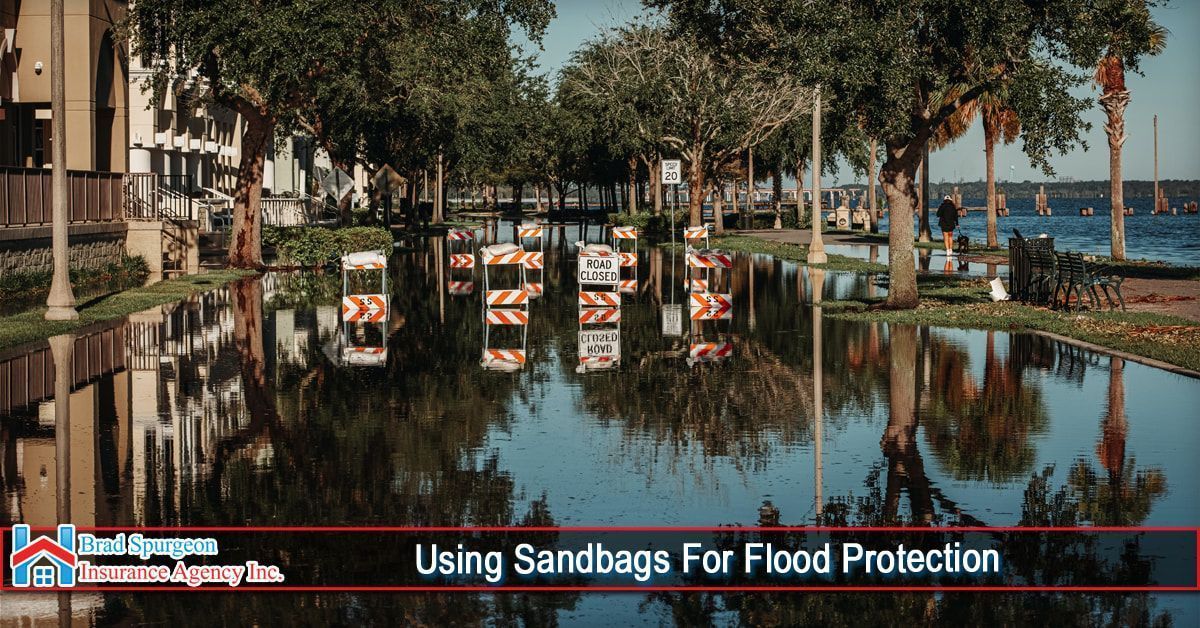 A flooded street lined with trees and orange-and-white construction barricades near a body of water.