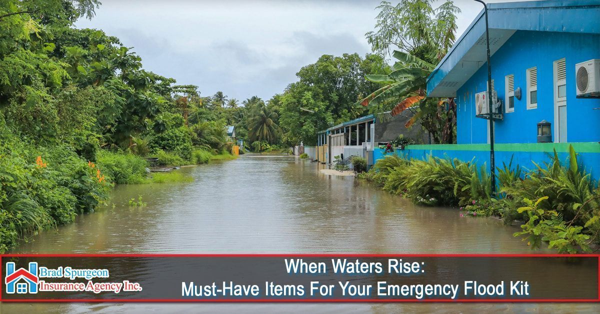 A flooded street lined with green trees and a blue house