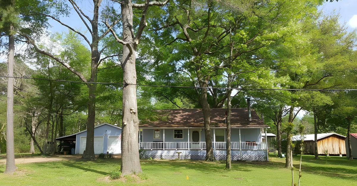 12 Things To Look for When Hiring a Tree Service