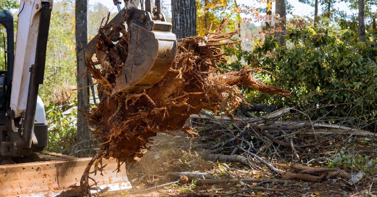 The Top Signs You Need Professional Land Clearing Services