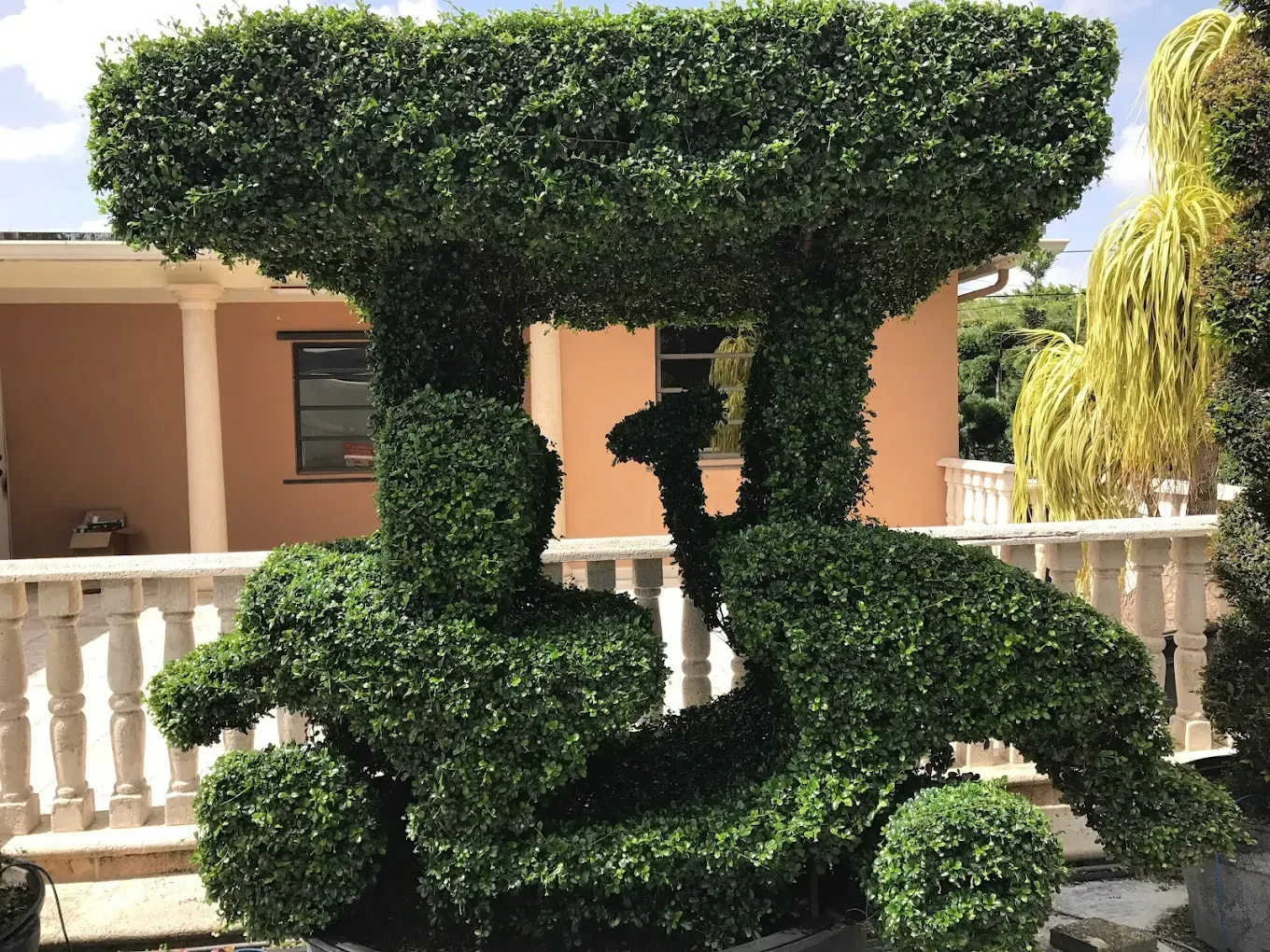 Person trimming a green bush with long-handled shears; outdoors, sunny.