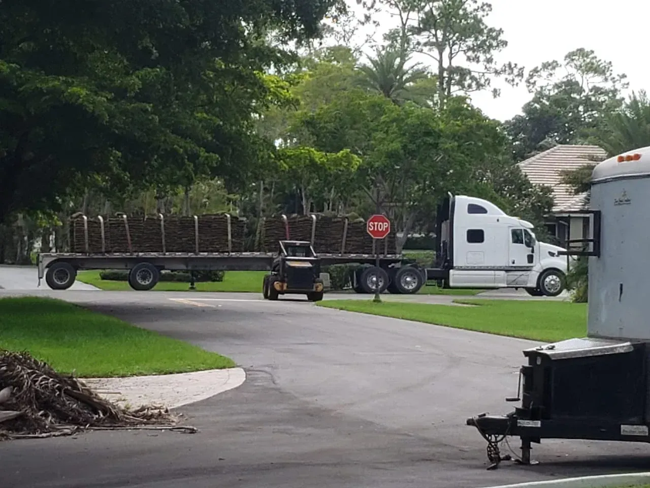 Installing fresh sod on prepared soil next to a stone wall.